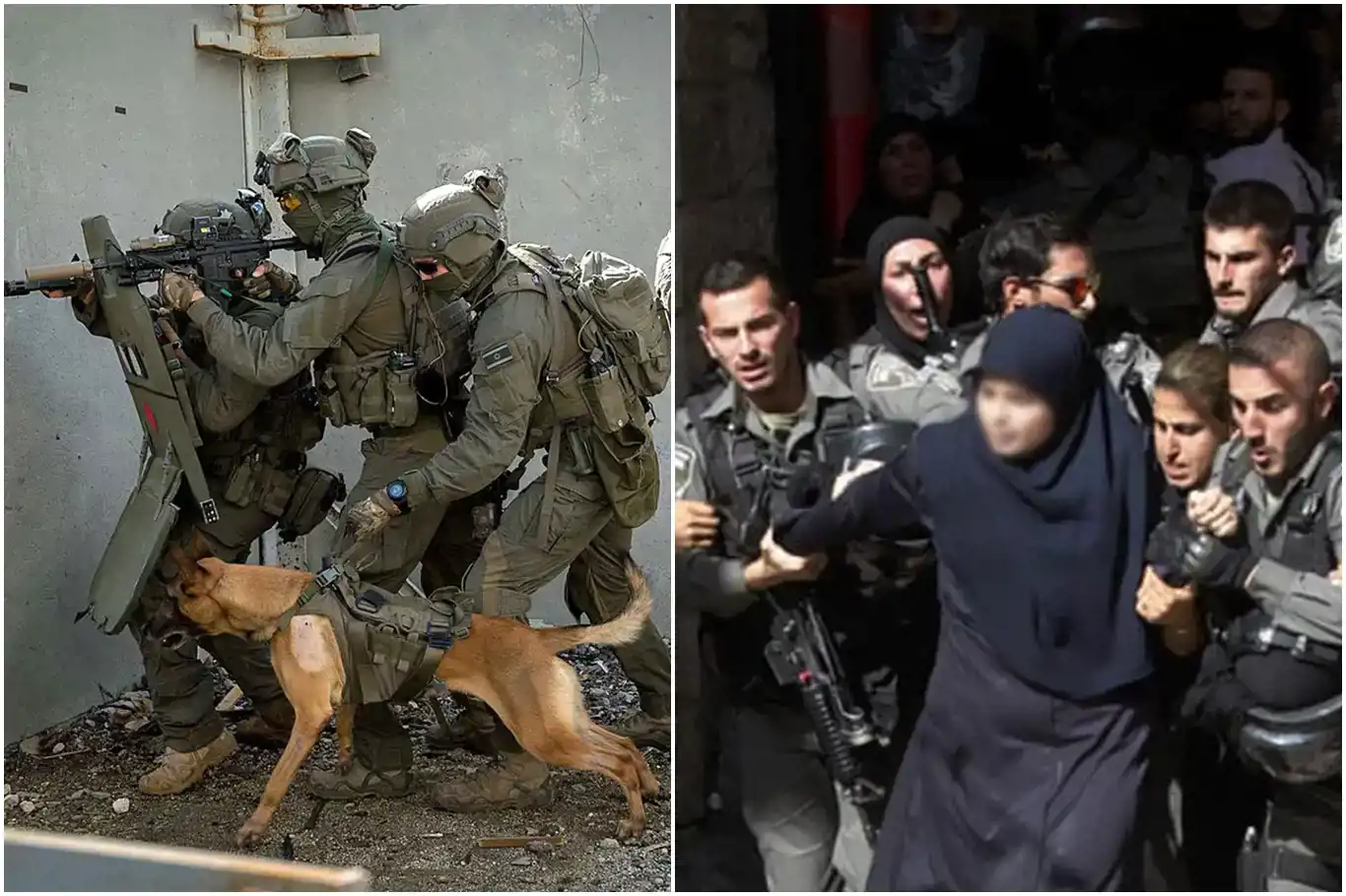 OIC strongly condemns zionist soldiers' abuse of Palestinian women