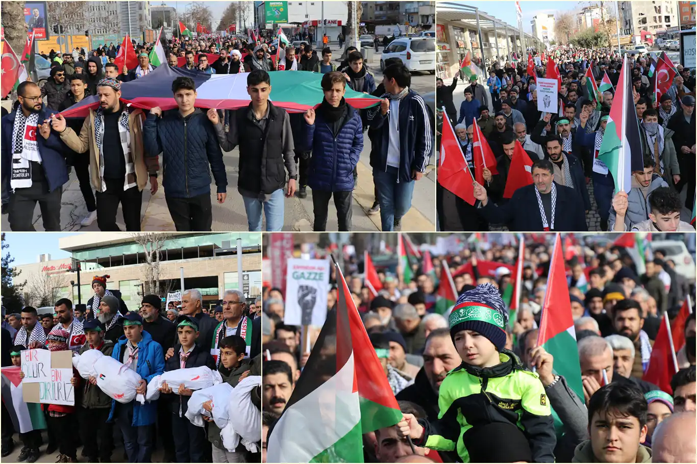 Malatya'da binler, Gazze'de acil ateşkes çağrısı için yürüdü