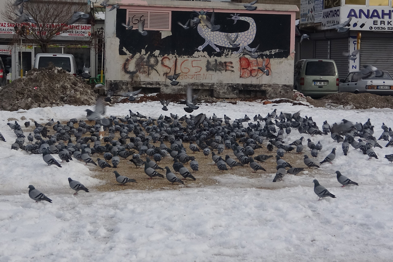 35 yıldır binlerce kuşa verdiği yem ile besleyen esnaf takdir topluyor