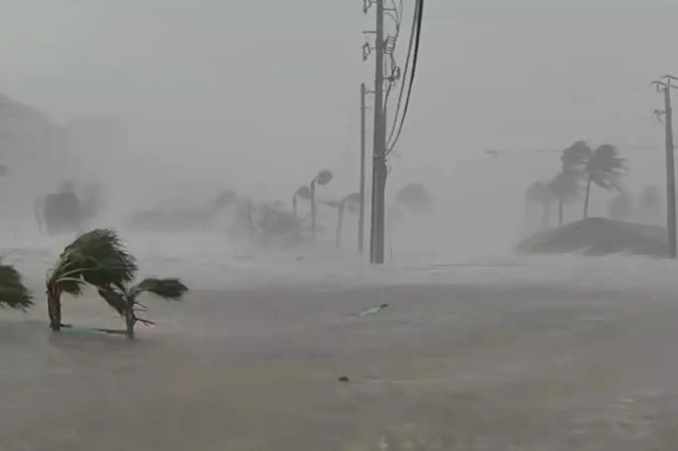 Florida'yı Milton Kasırgası vurdu: 4 ölü Florida'yı Milton Kasırgası vurdu: 4 ölü