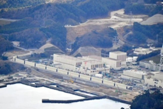 Japanese nuclear reactor restarted after temporary halt