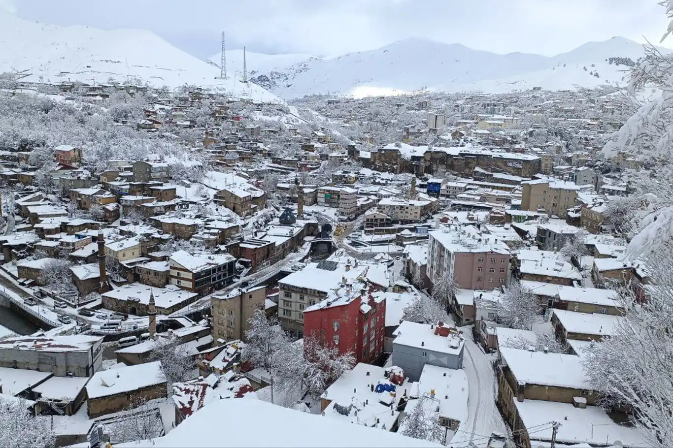 Akşam saatlerinden itibaren Bitlis kar yağışının etkisine girecek