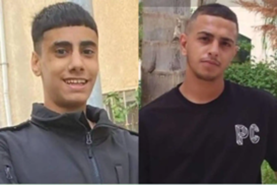 Two Palestinians killed by Israeli occupation forces in Jenin