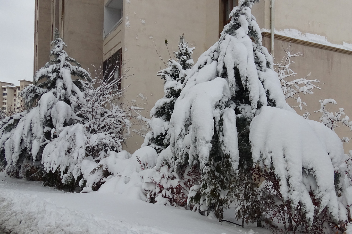 Malatya'dan kar manzaraları