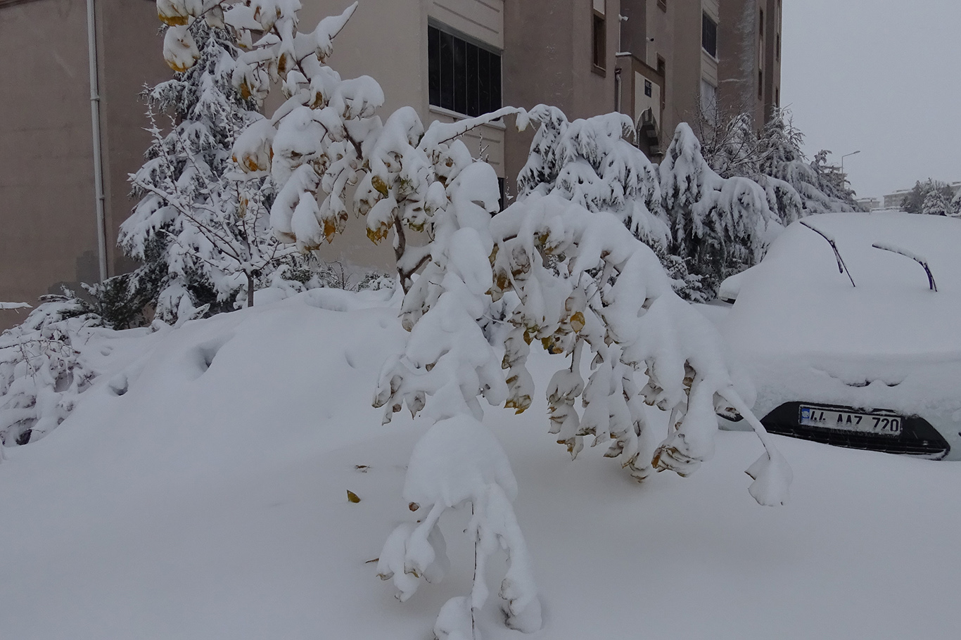 Malatya'dan kar manzaraları