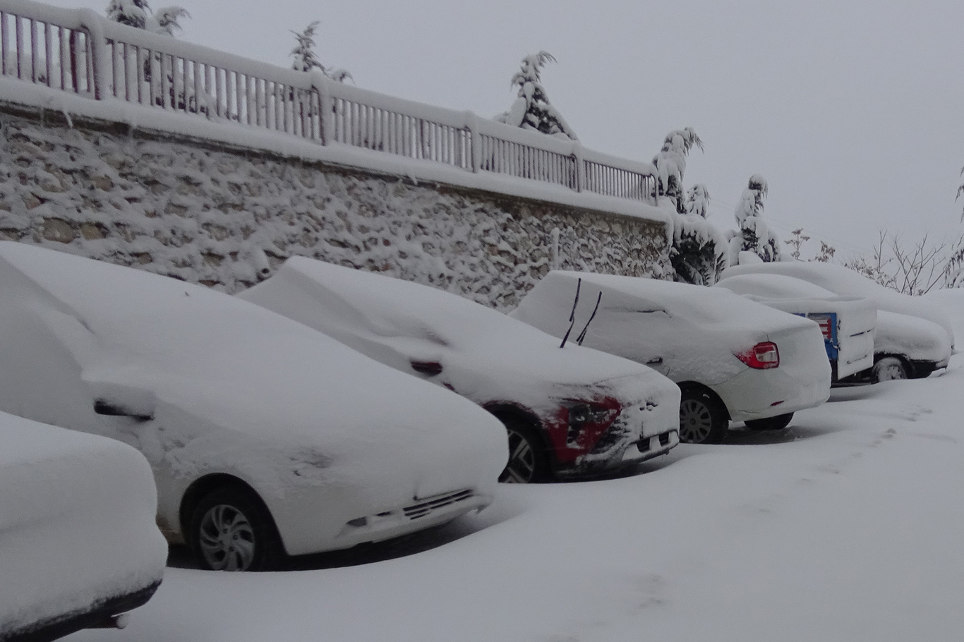 Malatya'dan kar manzaraları