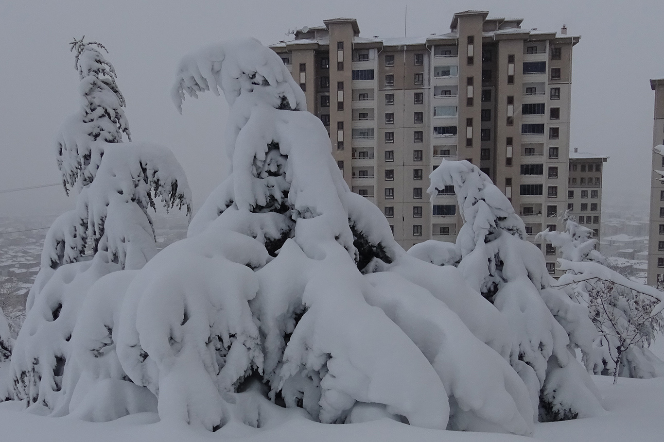 Malatya'dan kar manzaraları