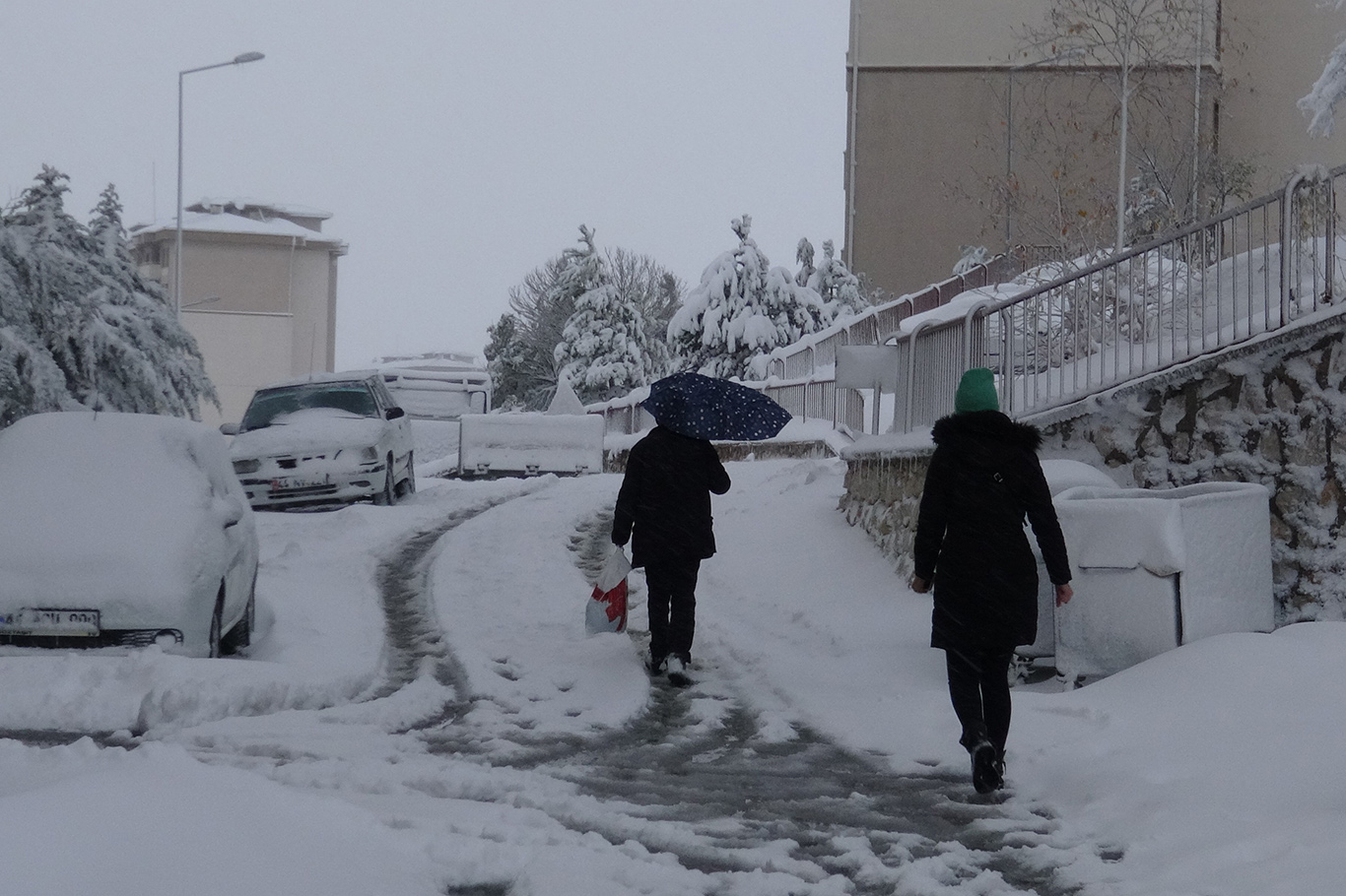 Malatya'dan kar manzaraları