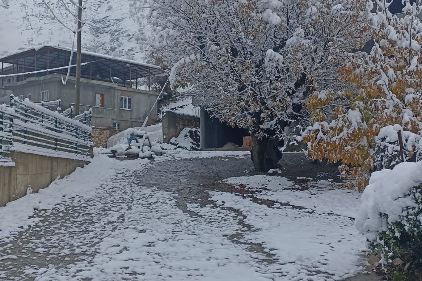 Batman'da kar yağışı bazı köy yollarını ulaşıma kapattı