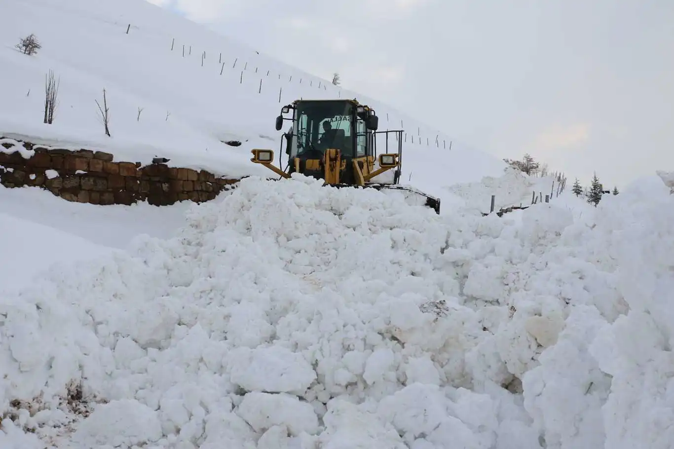 ​Van, Hakkari ve Muş'ta 218 yerleşim birimi ulaşıma kapandı