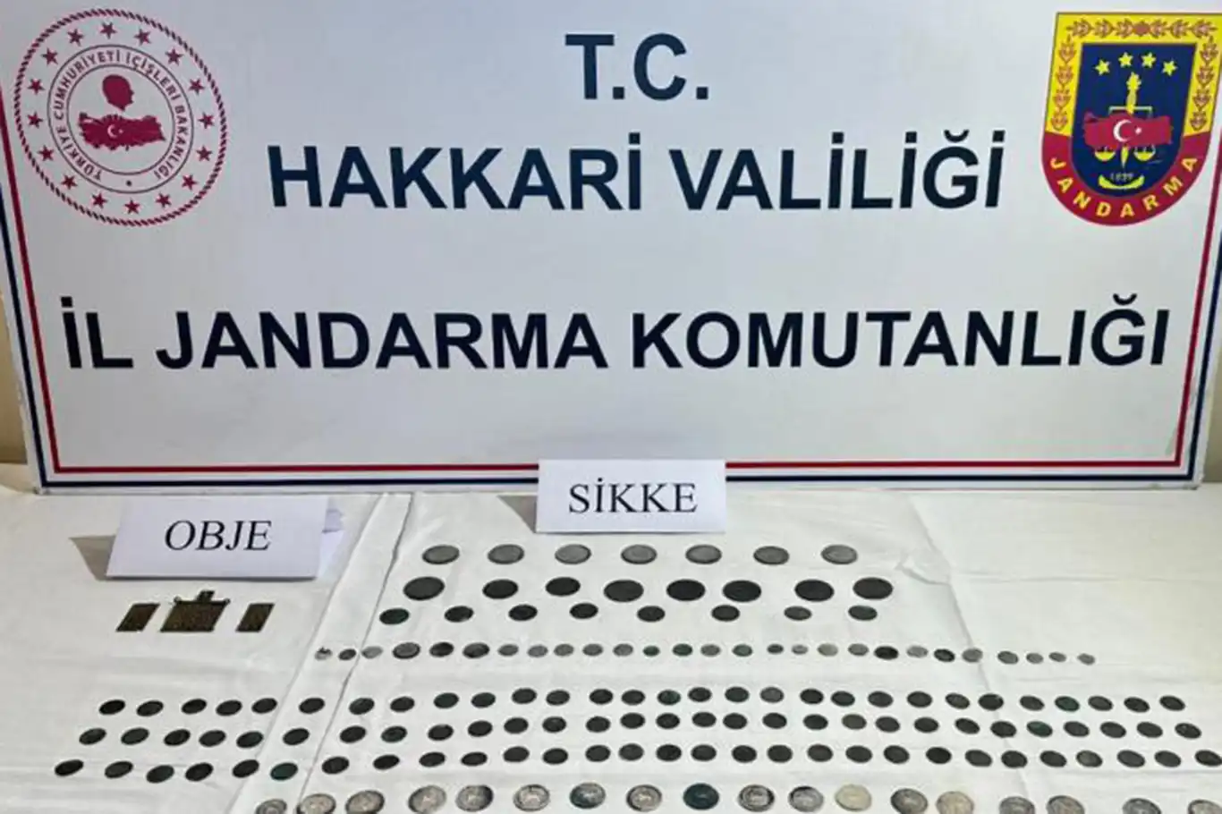 Hakkari'de tarihi eser operasyonu