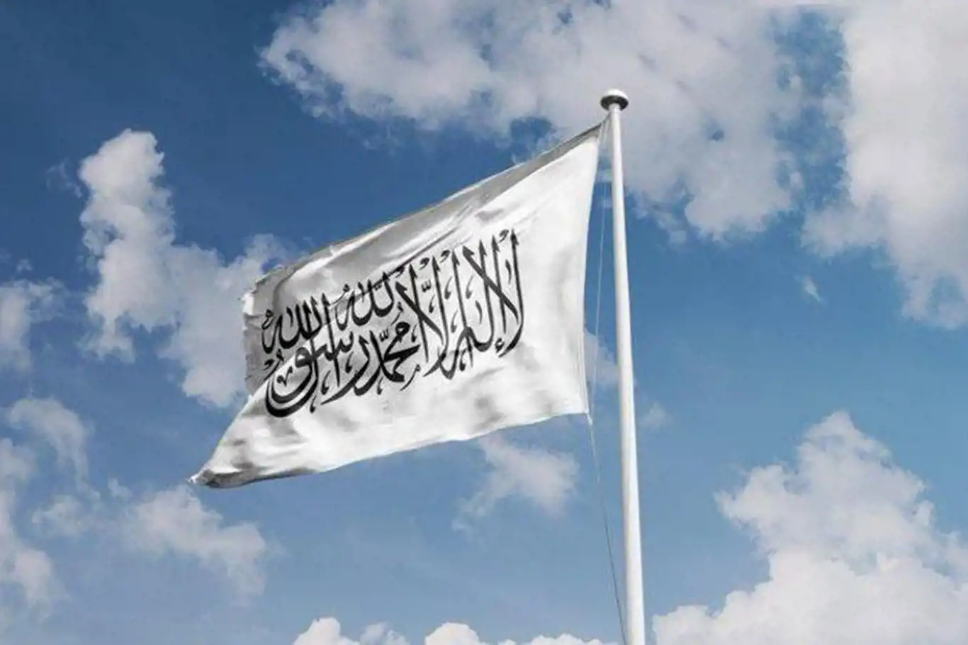 Islamic Emirate rejects UN report on drug cultivation increase in Afghanistan