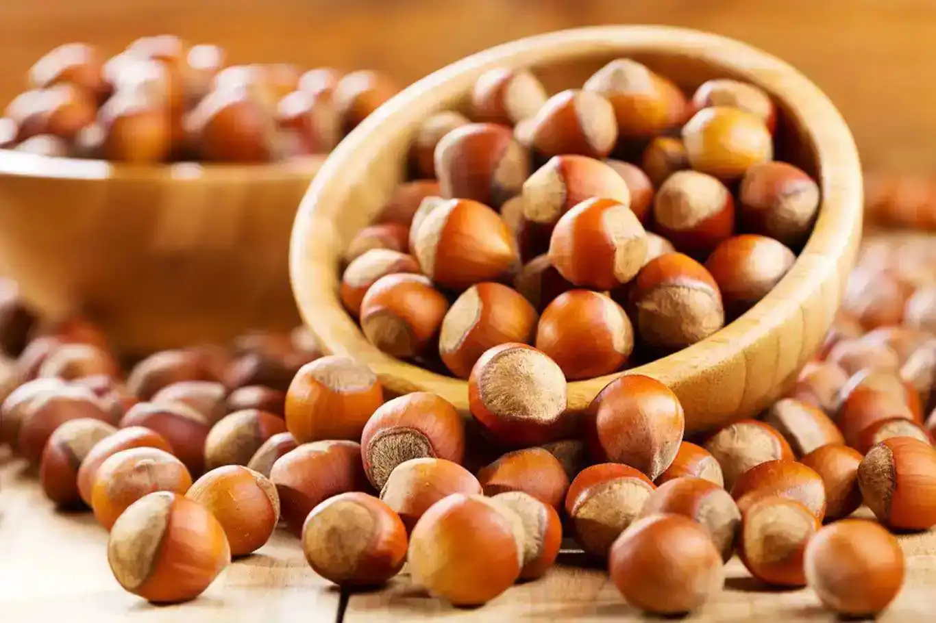 Türkiye's hazelnut exports surge in 2024, generating over $2 billion