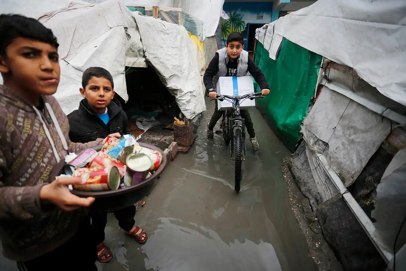 UN humanitarian coordinator warns of escalating crisis in Gaza