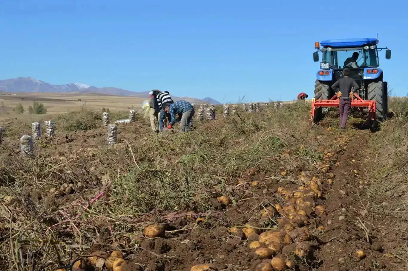 Turkish agricultural product prices surge 46.91% year-on-year