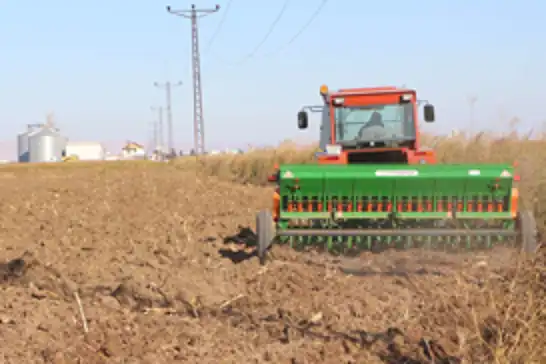 Mardin ovasında 3 milyon dönüm alana buğday ekilecek