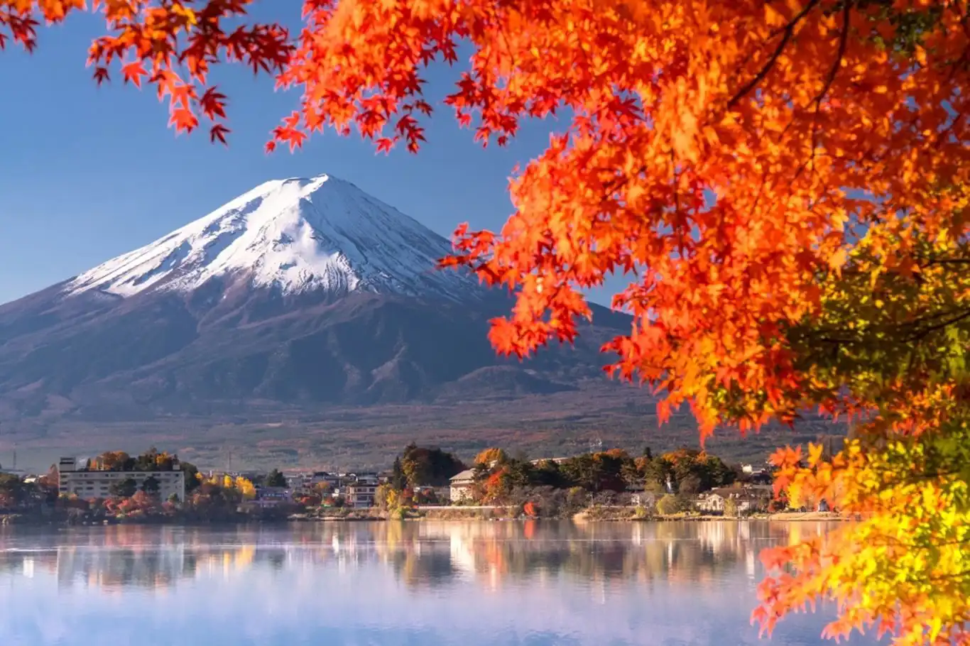 Japonya 126 yılın en sıcak sonbaharını yaşadı  