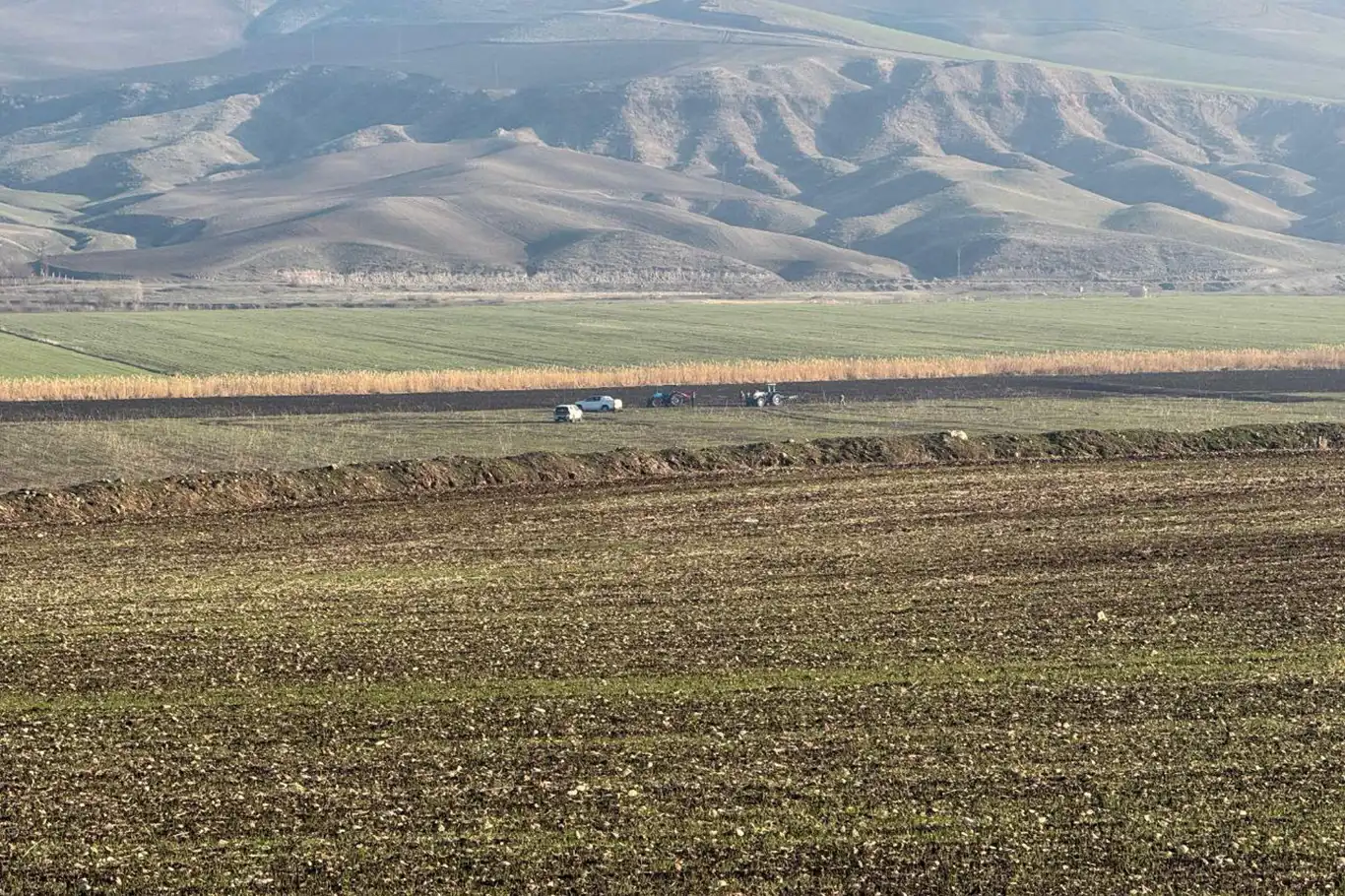 Mahkeme sürecinde olan arazi davası kanlı sonuçlandı: 1 ölü