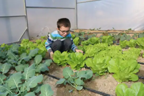 "Okuldaki Çiftlik" projesi ile öğrenciler tarımın içinde