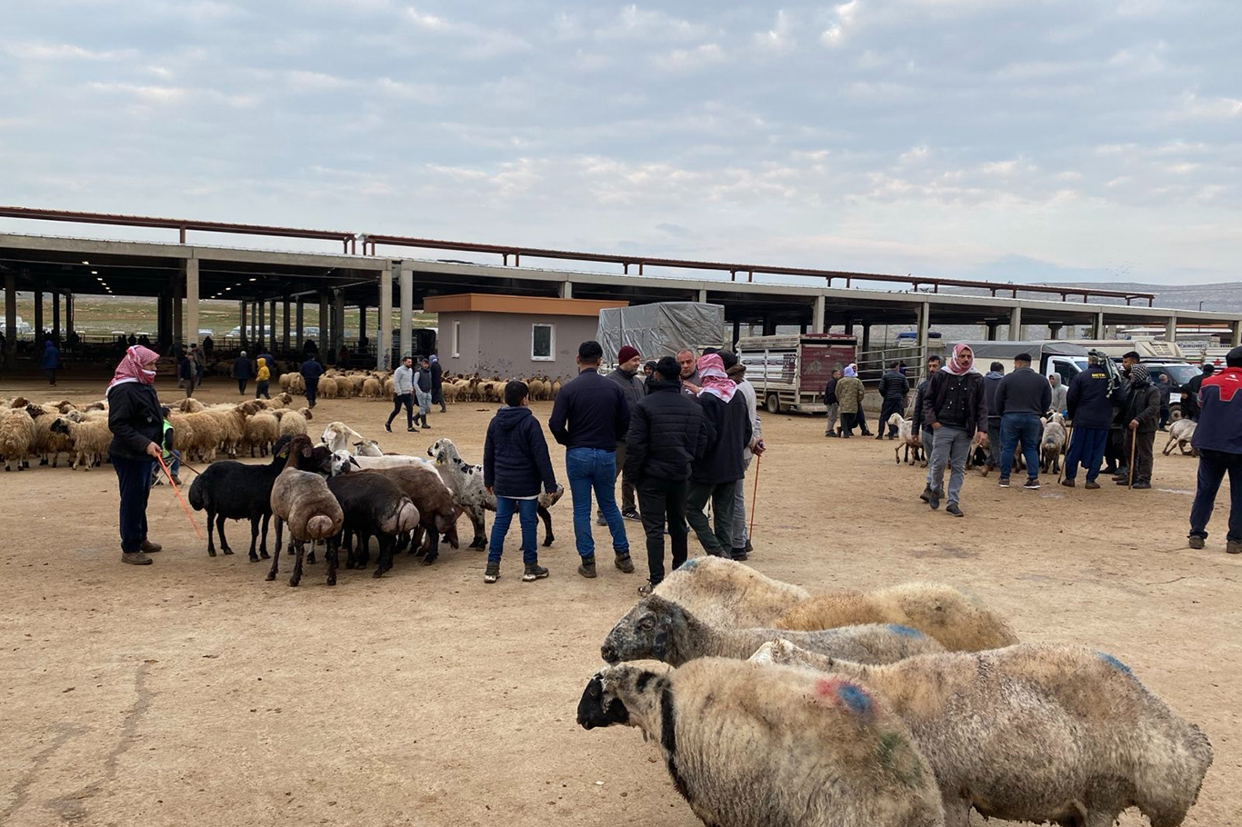 Besiciler: Pahalılığa karşı önlem alınmazsa Ramazan ayında et fiyatlarında artış yaşanacak