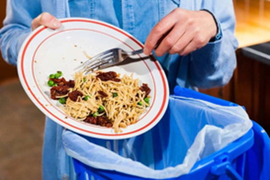 UNEP report exposes global food waste crisis: 1 billion meals squandered daily amidst rising hunger