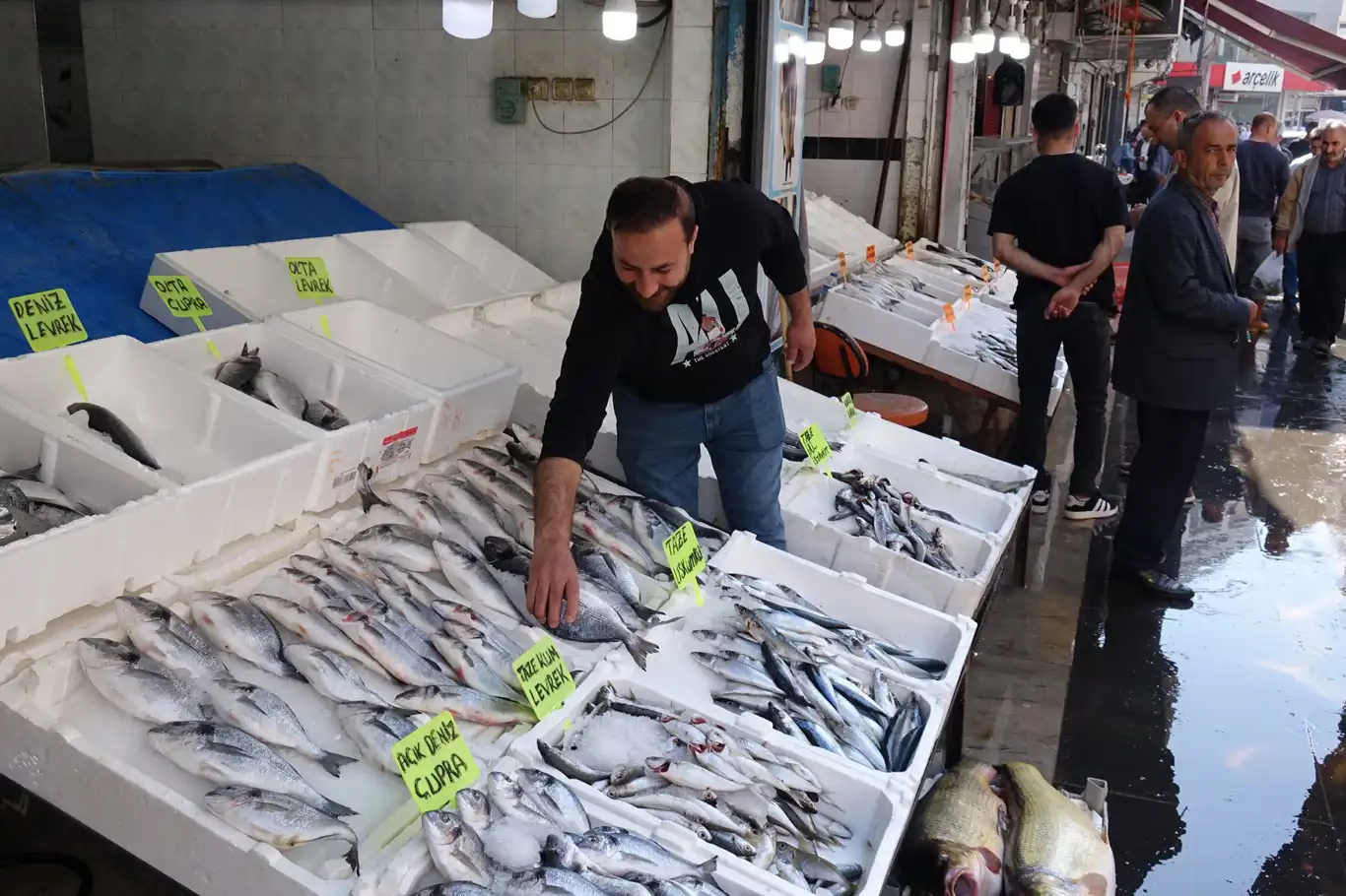 Balıkçılar yeni sezonda bereketli ve bol balık çeşitleri bekliyor