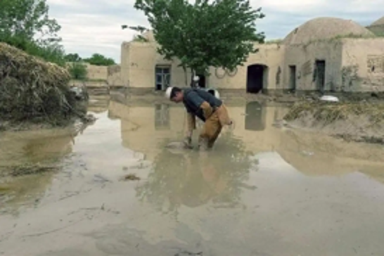 Heavy rains and floods devastate Afghanistan, leaving 50 dead