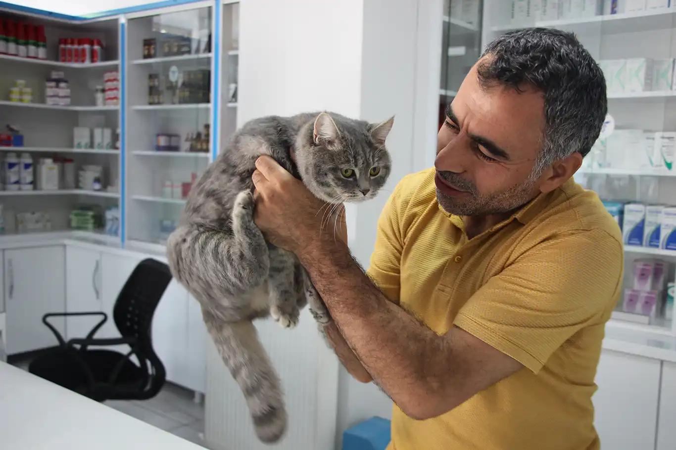 Veteriner Hekim Aladağ: Başıboş hayvanlar, yerel yönetimler tarafından daha sıkı takibe alınmalı