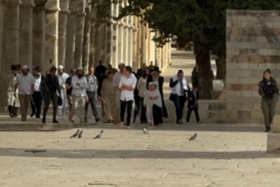 Hundreds of zionist settlers defile Al Aqsa Mosque