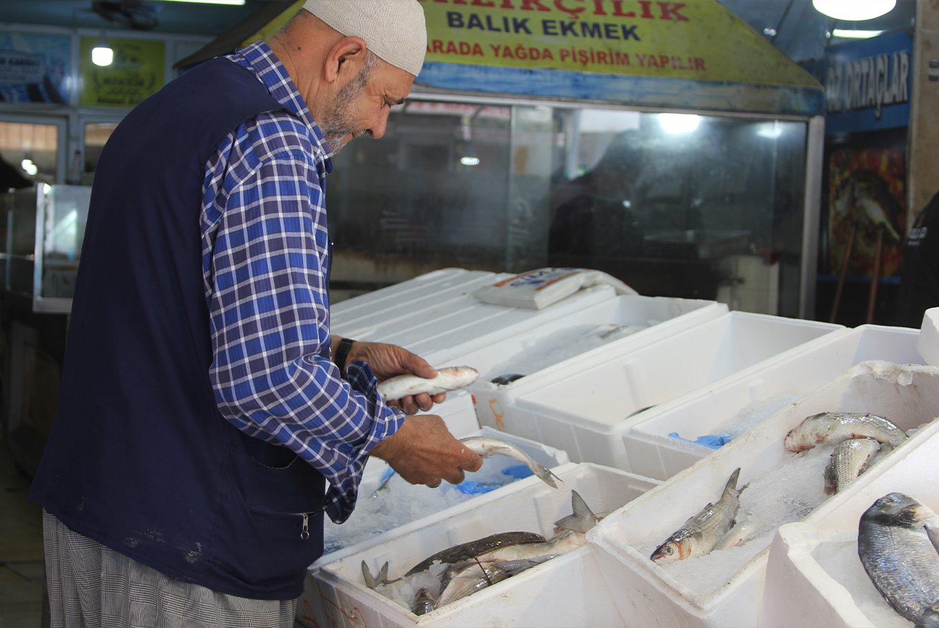 Balıkta av yasağı nedeniyle tezgahlardaki çeşitlilik azaldı