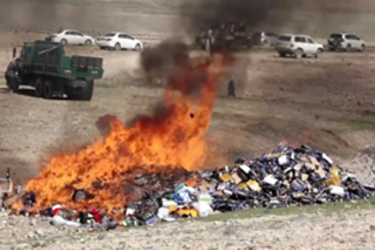 Afghanistan burns narcotics, calls for international support