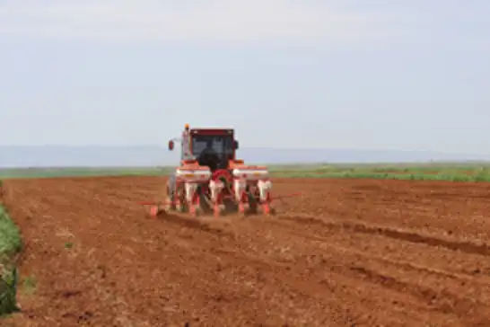 Diyarbakır'da çiftçiler pamuk ekimine başladı