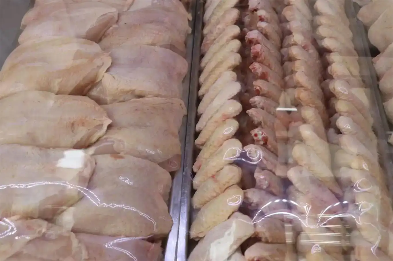 Îxracata goştê mirîşka hat sînordarkirin