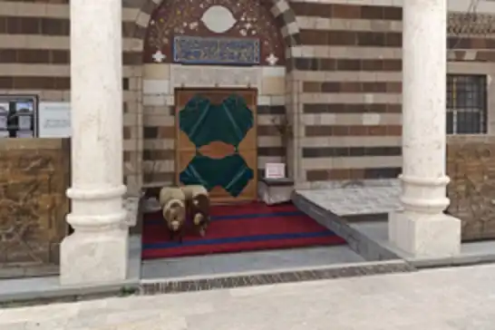 Van’daki tarihi Hüsrev Paşa Camii'ne koyunlar girdi
