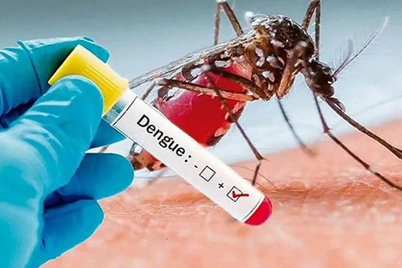 Argentina faces insect repellent shortage amidst looming dengue threat Argentina faces insect repellent shortage amidst looming dengue threat