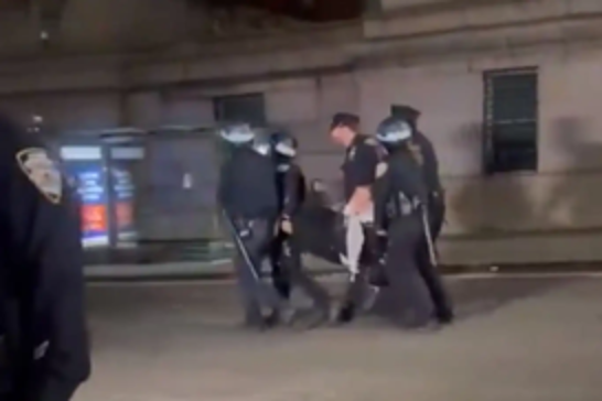 Pro-Palestine protesters met with police crackdown at Columbia University