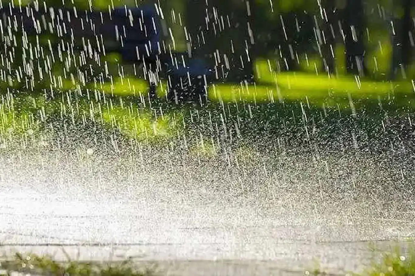 Дождь на ютубе. Природа дождь. Дождь ютуб. Raining. Heavy Rain weather.