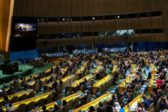 UN Assembly backs Palestinian membership bid
