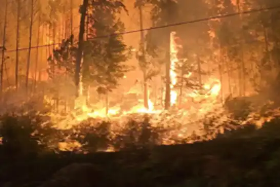 كندا.. حرائق الغابات تهجر الألاف