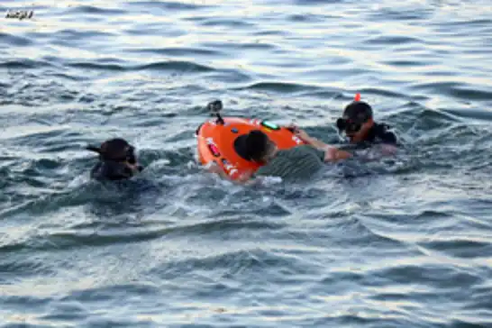 Cezayir'de okul gezisinde denize giren 5 çocuk boğuldu