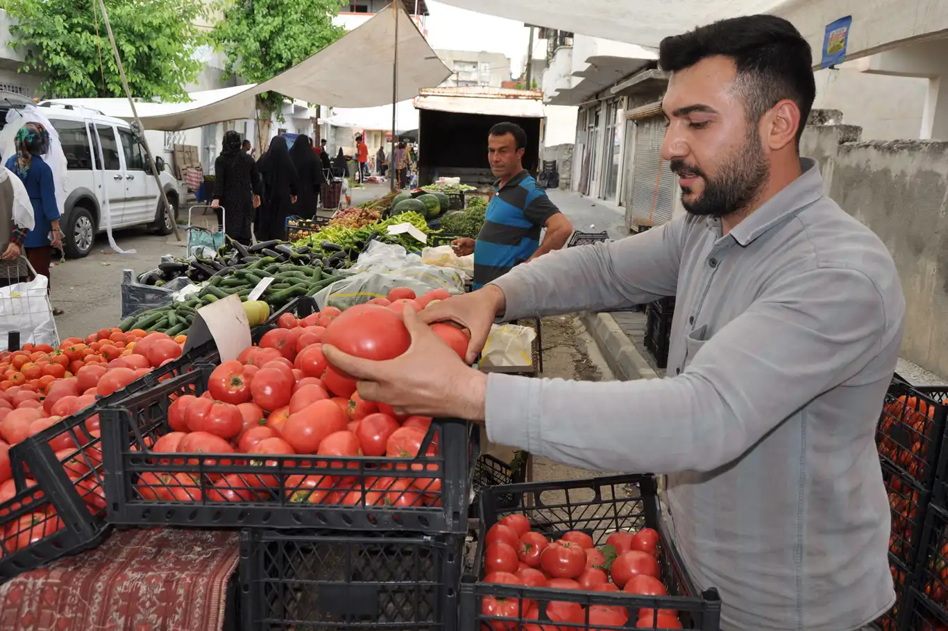 Yerli ürünlerin çıkması sebze ve meyve fiyatlarını düşürdü