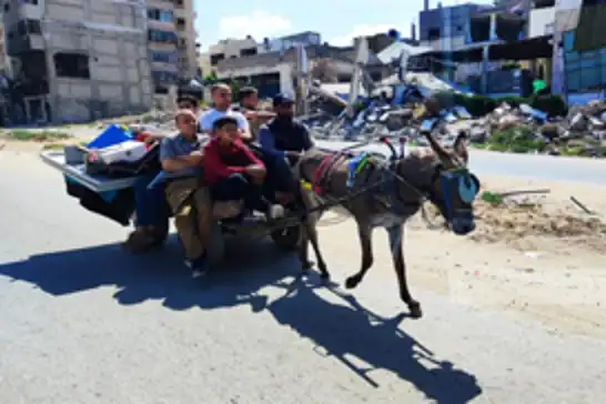 UNRWA reports over 630,000 Palestinians displaced from Rafah amid israeli ground invasion