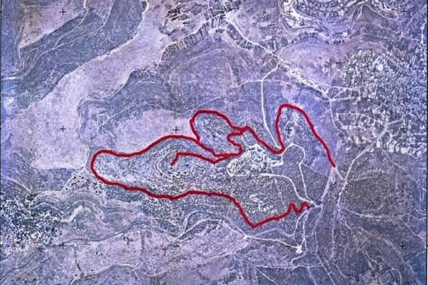 بعد الاستيلاء عليها..عصابات الصهاينة تحرق الأراضي في الضفة الغربية