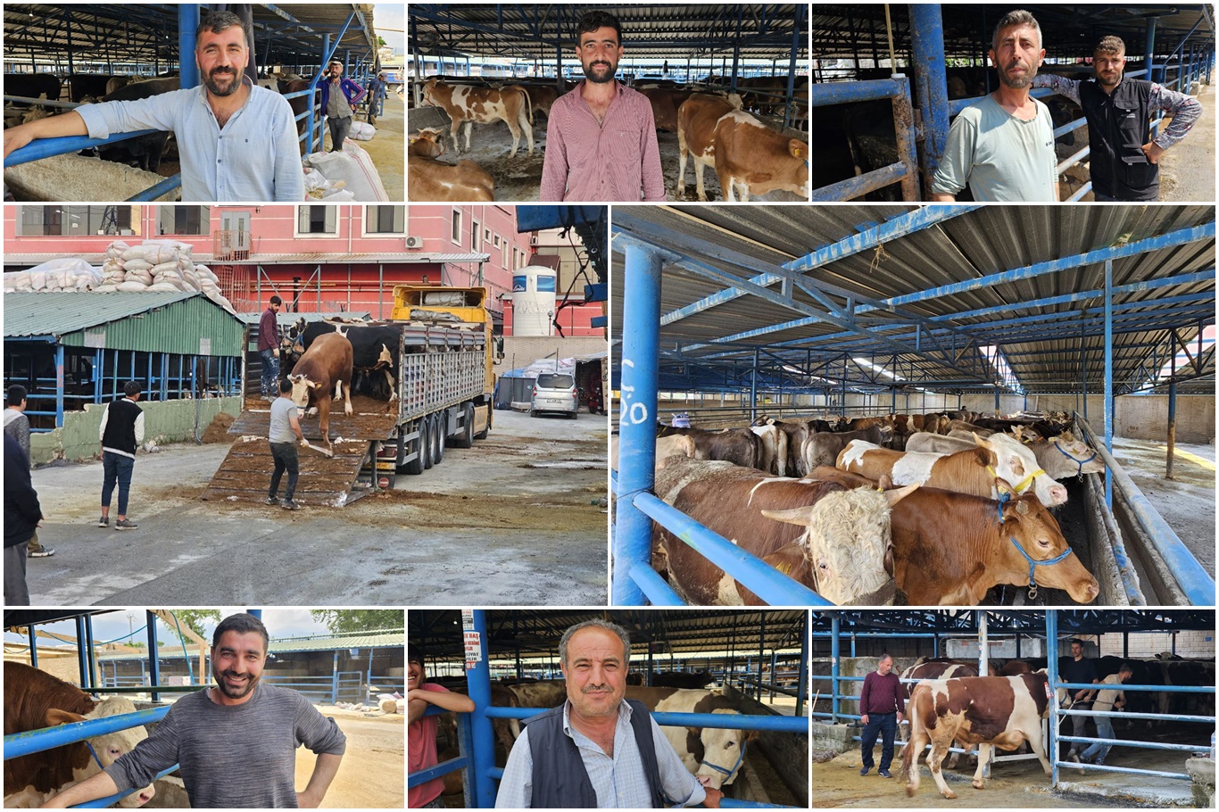 Bursa'da kurban pazarlarına "kurbanlıklar" gelmeye başladı