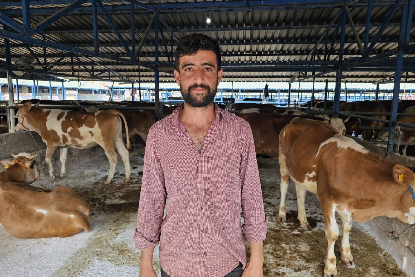 Mehmet Tatlıburak