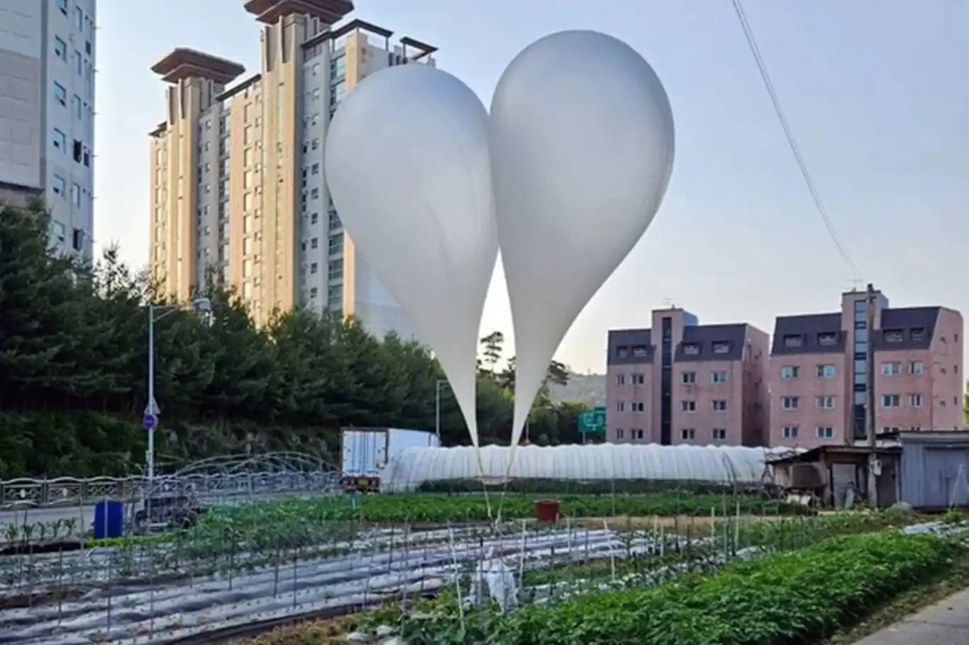 Kuzey Kore, Güney Kore'ye çöp dolu yüzlerce balon gönderdi - [İLKHA] İlke Haber Ajansı