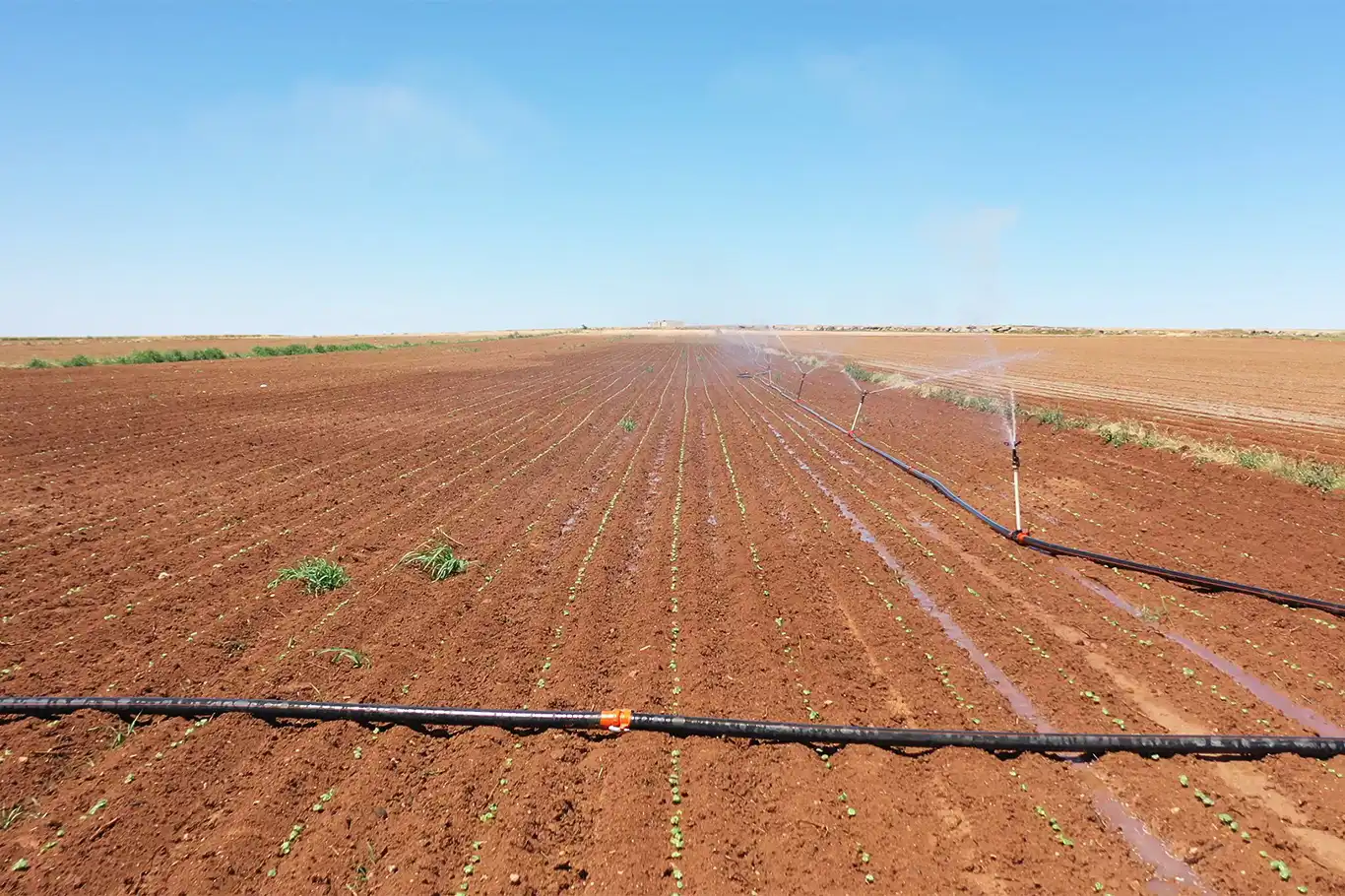 Şanlıurfa'da 2024 yılı sulama sezonu başladı Şanlıurfa'da 2024 yılı sulama sezonu başladı