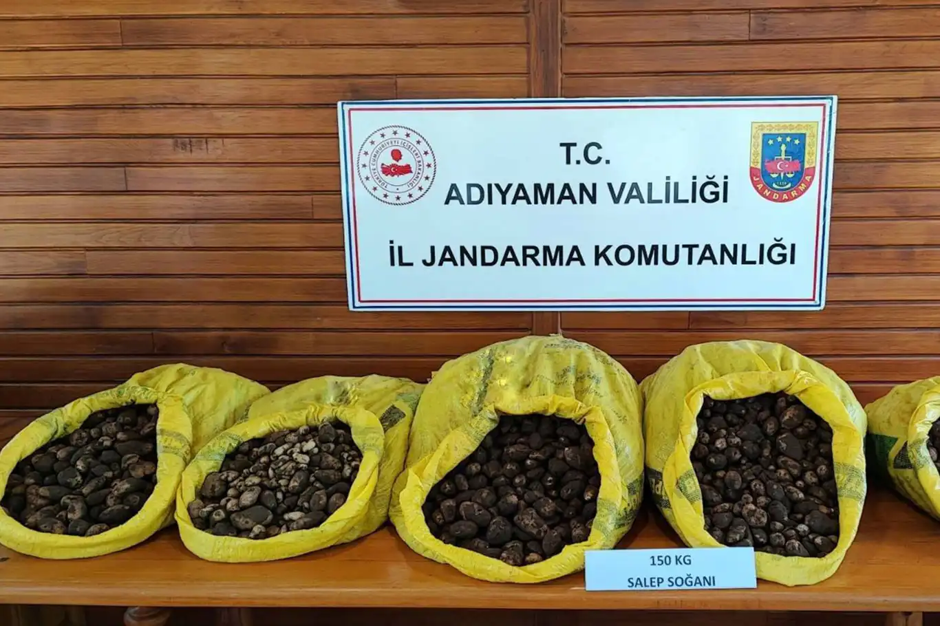Salep soğanı toplayan şahıslara rekor para cezası