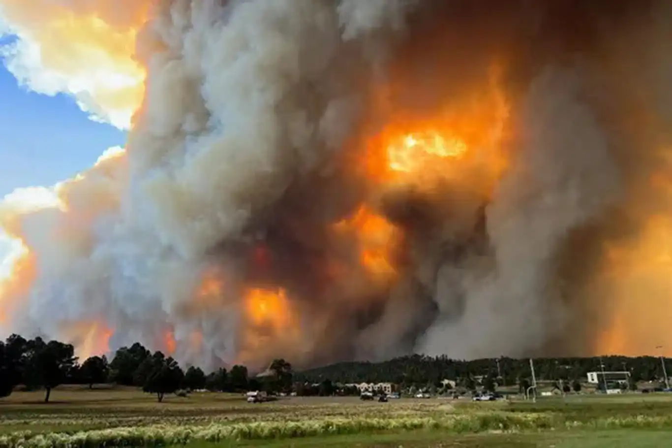 ABD'de orman yangınları nedeniyle OHAL ilan edildi