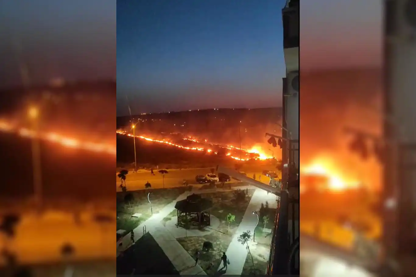 Şanlıurfa'da anız yangını ağaçları küle çevirdi Şanlıurfa'da anız yangını ağaçları küle çevirdi